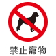 禁止寵物